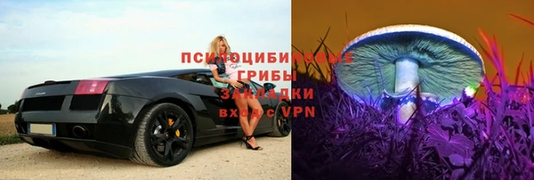 шишки Армянск