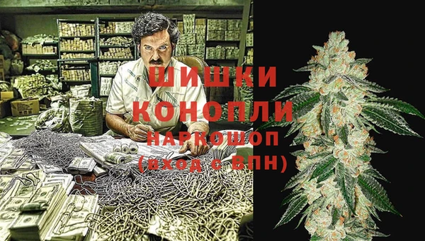 шишки Армянск