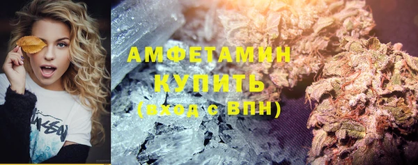 шишки Армянск