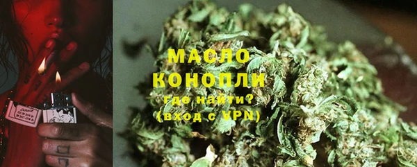 стаф Магас