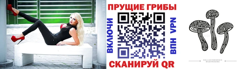 Галлюциногенные грибы Psilocybine cubensis  mega как зайти  Маркс 