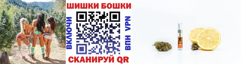 продажа наркотиков  Маркс  Бошки марихуана планчик 